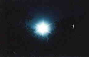 Blue Moon; Actual size=240 pixels wide